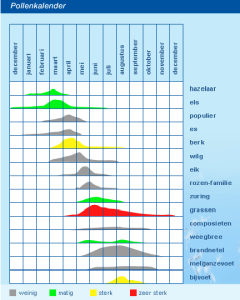 Pollenkalender